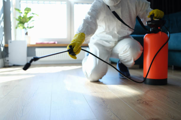 Best Pest Inspection Near Me  in Pomona Park, FL