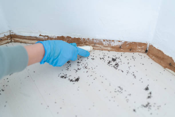 Best Best Pest Control Companies  in Pomona Park, FL