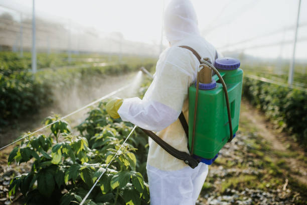 Professional Pest Control in Pomona Park, FL